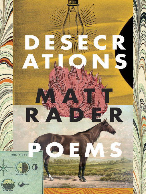Cover image for Desecrations